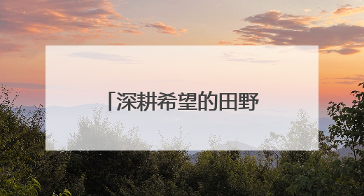 深耕希望的田野——“综合试验田”里庆丰收