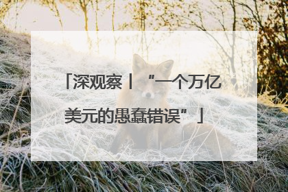 深观察丨“一个万亿美元的愚蠢错误”