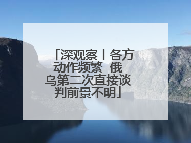 深观察丨各方动作频繁  俄乌第二次直接谈判前景不明