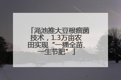 渑池推大豆根瘤菌技术，1.3万亩农田实现“一播全苗、一生节肥”