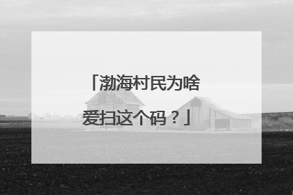渤海村民为啥爱扫这个码？