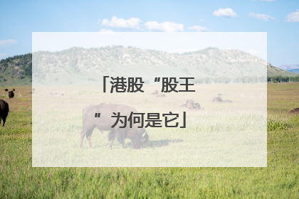 港股“股王”为何是它
