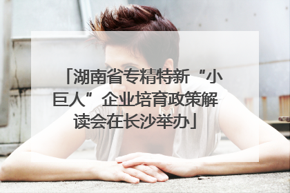 湖南省专精特新“小巨人”企业培育政策解读会在长沙举办