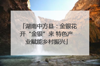 湖南中方县：金银花开“金银”来 特色产业赋能乡村振兴
