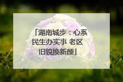 湖南城步：心系民生办实事 老区旧貌换新颜
