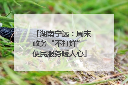 湖南宁远：周末政务“不打烊” 便民服务暖人心