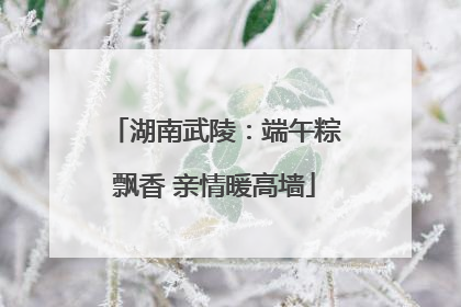 湖南武陵：端午粽飘香 亲情暖高墙