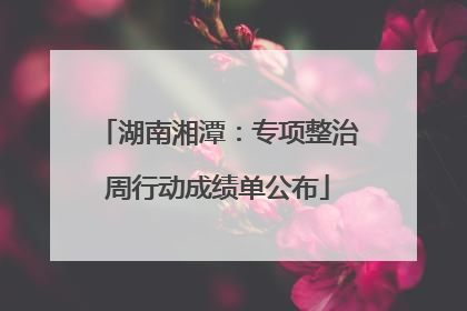 湖南湘潭：专项整治周行动成绩单公布