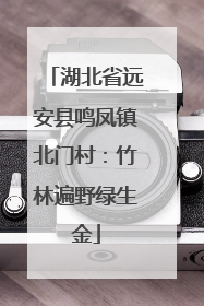 湖北省远安县鸣凤镇北门村：竹林遍野绿生金