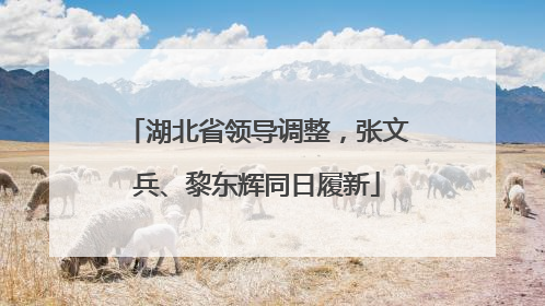 湖北省领导调整，张文兵、黎东辉同日履新