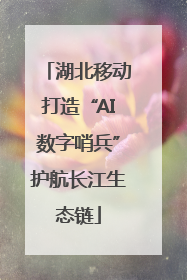 湖北移动打造“AI数字哨兵”护航长江生态链