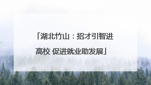 湖北竹山：招才引智进高校 促进就业助发展