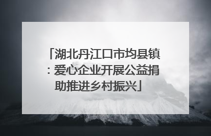 湖北丹江口市均县镇：爱心企业开展公益捐助推进乡村振兴