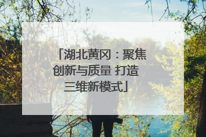 湖北黄冈：聚焦创新与质量 打造三维新模式
