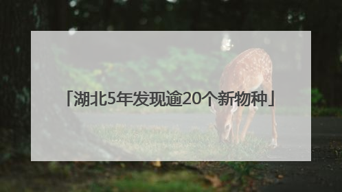 湖北5年发现逾20个新物种