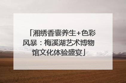 湘绣香囊养生+色彩风暴：梅溪湖艺术博物馆文化体验盛宴