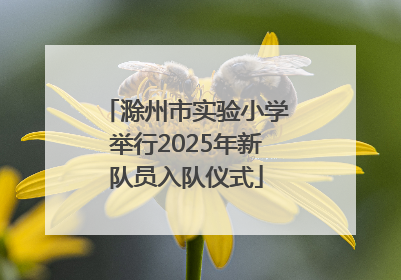 滁州市实验小学举行2025年新队员入队仪式