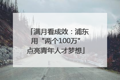 满月看成效：浦东用“两个100万”点亮青年人才梦想