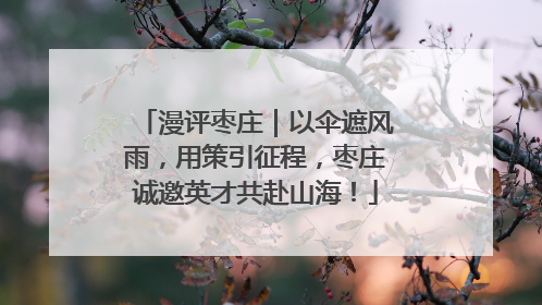 漫评枣庄｜以伞遮风雨，用策引征程，枣庄诚邀英才共赴山海！