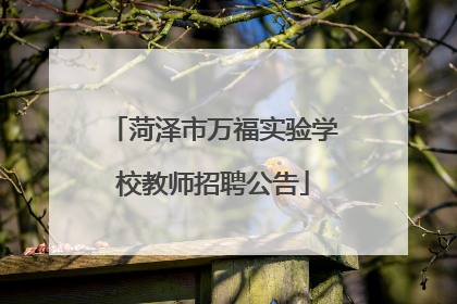 菏泽市万福实验学校教师招聘公告