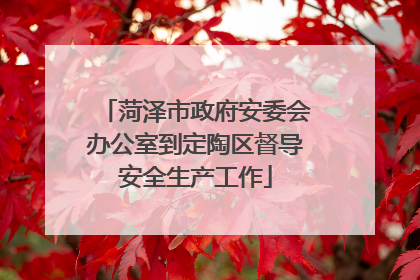 菏泽市政府安委会办公室到定陶区督导安全生产工作