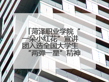 菏泽职业学院“一朵小红花”宣讲团入选全国大学生“两弹一星”精神宣讲团