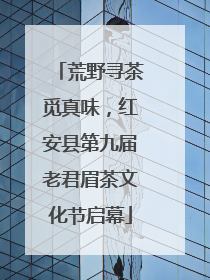 荒野寻茶觅真味，红安县第九届老君眉茶文化节启幕