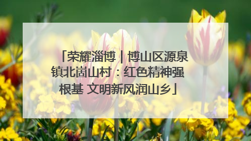 荣耀淄博｜博山区源泉镇北崮山村：红色精神强根基 文明新风润山乡