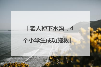 老人掉下水沟，4个小学生成功施救