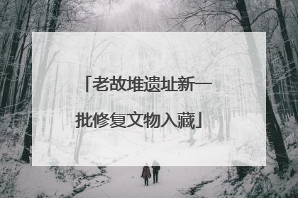 老故堆遗址新一批修复文物入藏