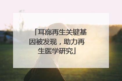 耳廓再生关键基因被发现，助力再生医学研究