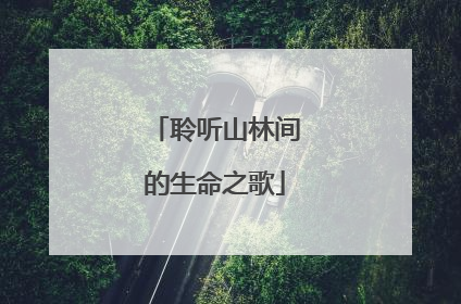 聆听山林间的生命之歌