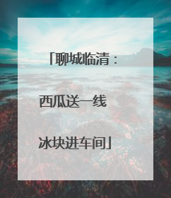 聊城临清：西瓜送一线 冰块进车间