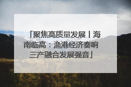 聚焦高质量发展丨海南临高：渔港经济奏响三产融合发展强音