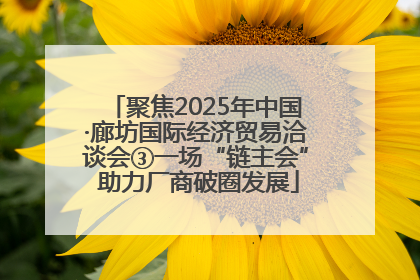 聚焦2025年中国·廊坊国际经济贸易洽谈会③一场“链主会” 助力厂商破圈发展
