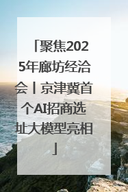 聚焦2025年廊坊经洽会丨京津冀首个AI招商选址大模型亮相