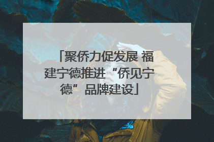 聚侨力促发展 福建宁德推进“侨见宁德”品牌建设