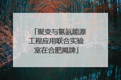 聚变与氢氨能源工程应用联合实验室在合肥揭牌