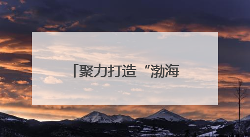 聚力打造“渤海粮仓”新高度，滨州市供销社谱写“三夏”丰收乐章
