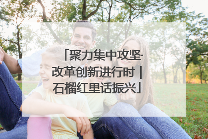 聚力集中攻坚·改革创新进行时｜石榴红里话振兴