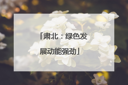 肃北：绿色发展动能强劲