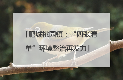 肥城桃园镇：“四张清单”环境整治再发力