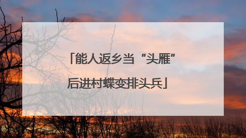 能人返乡当“头雁” 后进村蝶变排头兵