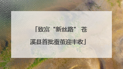 致富“新丝路” 苍溪县首批蚕茧迎丰收