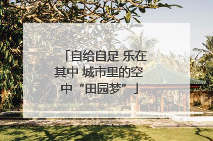 自给自足 乐在其中 城市里的空中“田园梦”