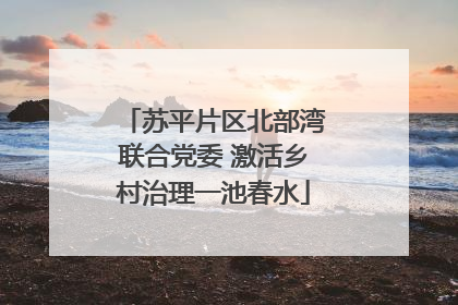苏平片区北部湾联合党委 激活乡村治理一池春水