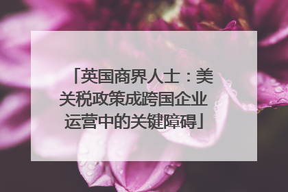 英国商界人士：美关税政策成跨国企业运营中的关键障碍