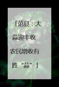 范县：大蒜迎丰收 农民增收有胜“蒜”