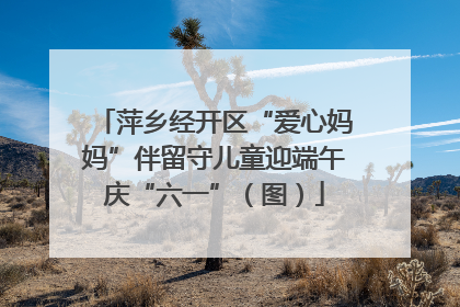 萍乡经开区“爱心妈妈”伴留守儿童迎端午庆“六一”（图）