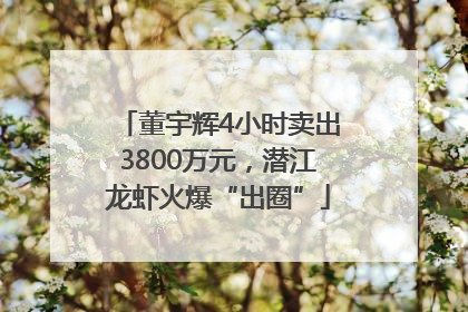 董宇辉4小时卖出3800万元，潜江龙虾火爆“出圈”